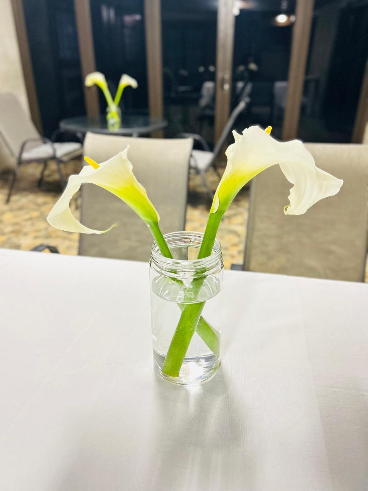 Duvha Guesthouse Graskop Kültér fotó